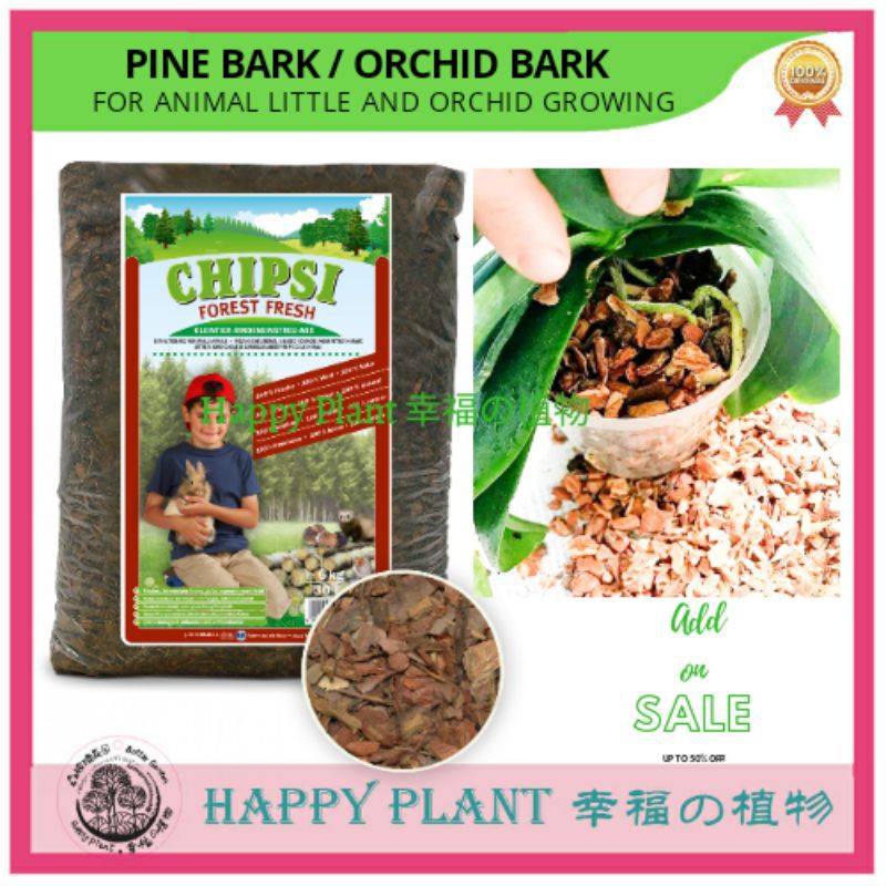 Orchid potting mix orchid bark pine bark Aroid mix good drainage for