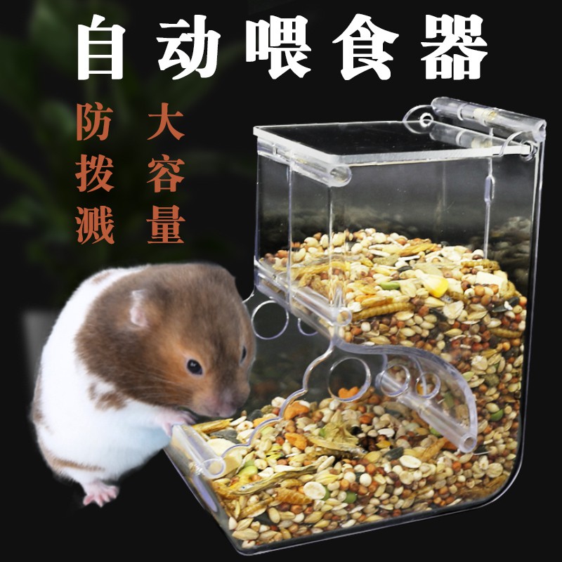 guinea pig self feeder