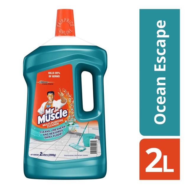 Mr Muscle 2l 3l Multi Purpose Cleaner Floor Cleaner