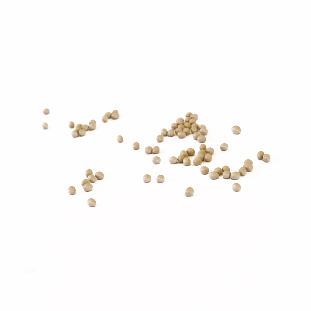 Coated & Treated Green Butterhead Seeds, Imported 50 pills Shopee