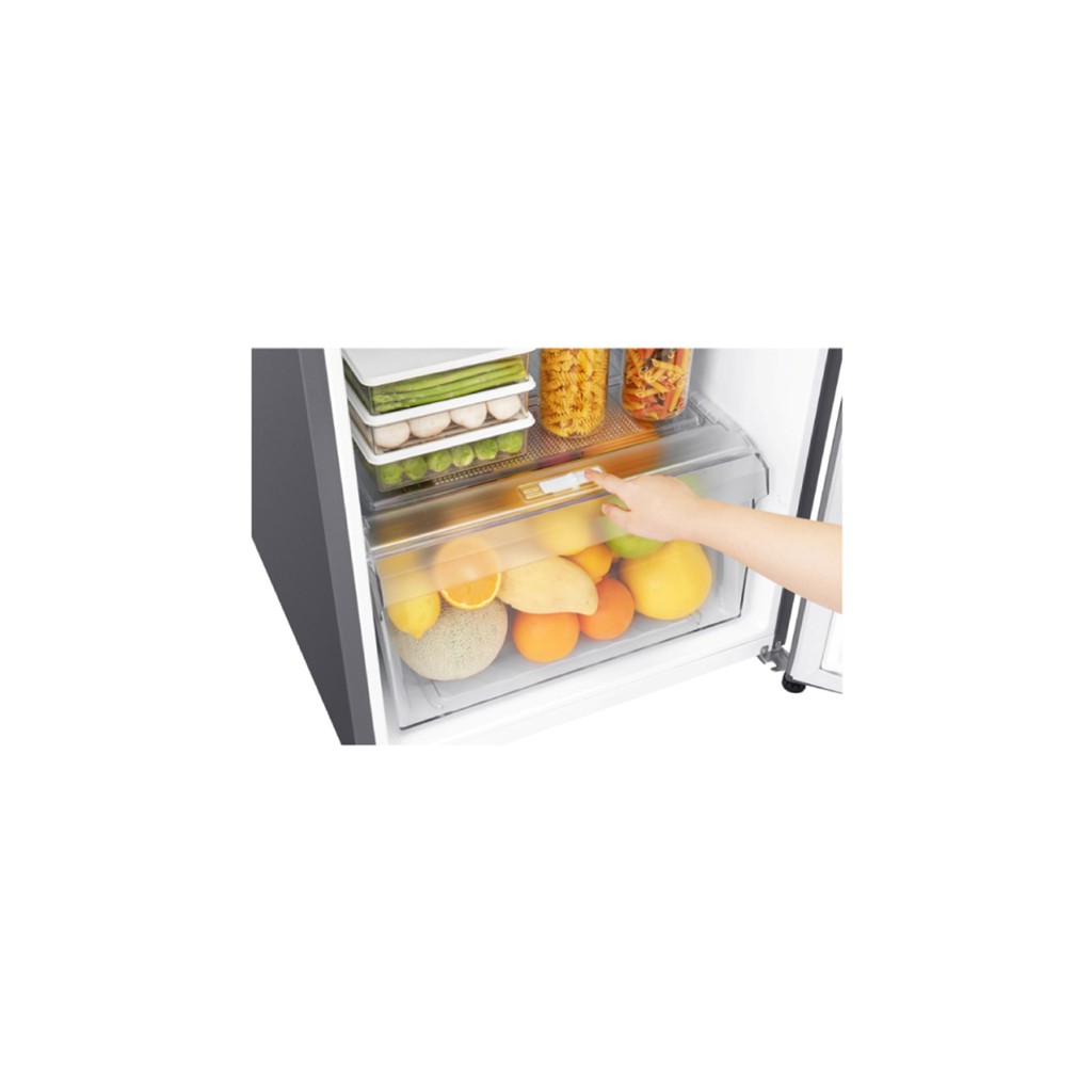 LG Kulkas 2 Pintu 209L GN-B272SQCB | Shopee Malaysia