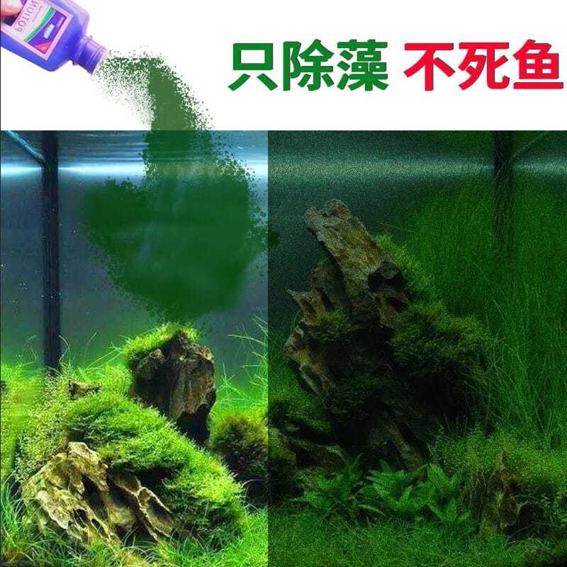 Aquarium Fish Tank Algaecide Efficient Moss Remover 魚缸除藻劑 除苔 劑 高效除藻 魚缸除藻劑不傷魚除苔劑水草缸黑毛藻克星去青苔綠藻清除52戊二醛