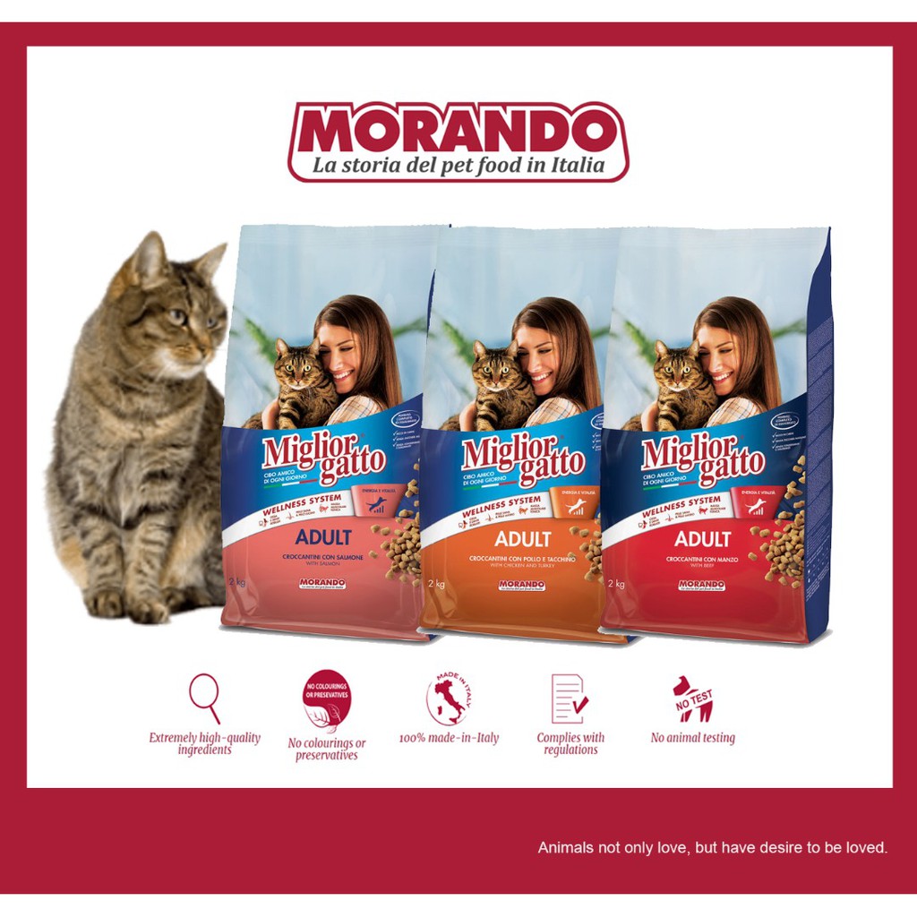 MORANDO MIGLIOR GATTO CAT DRY FOOD Cat Food 2kg (CHICKEN AND TURKEY