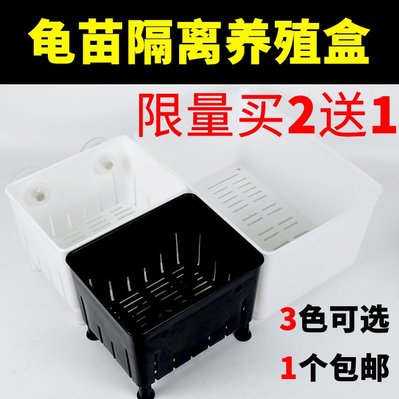 叮叮当当猫 隔離盒烏龜活體黑白發色盒魚缸孔雀魚苗繁殖盒飼養盒多龜苗隔離盒isolation Box Tortoise Live Black And White Hair Color