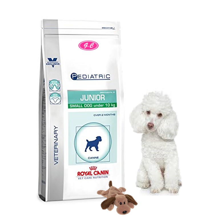 Pediatric junior small 2025 dog under 10kg