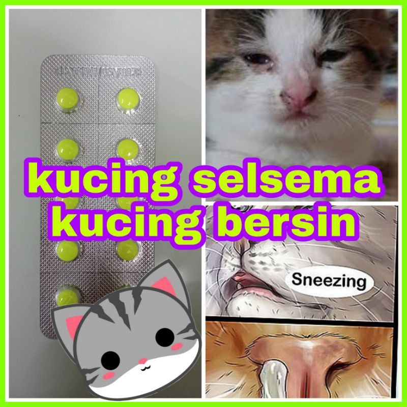 10 BIJI : READY STOCK! ubat selsema kucing/ merawat bersin kucing 