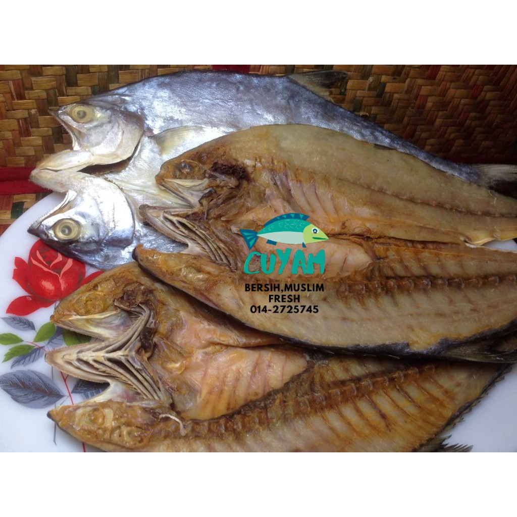 Isi Ikan Masin Talang Fresh Utk Ibu Berpantang Bersalin 200g Shopee Malaysia