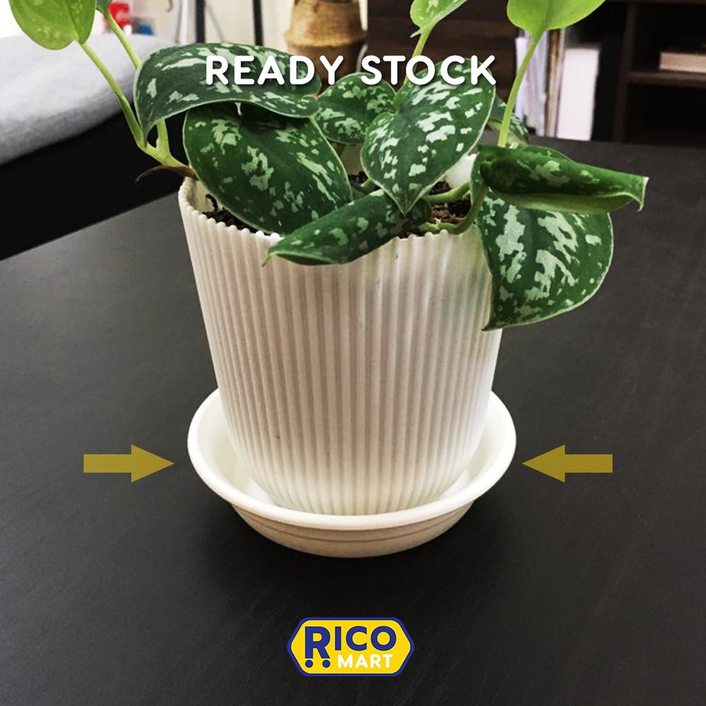 Pasu Flower Coating Flower Pot Shopee Singapore