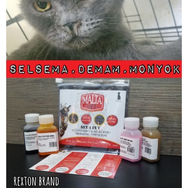 Ubat Selsema Kucing Imexa - Angusireng