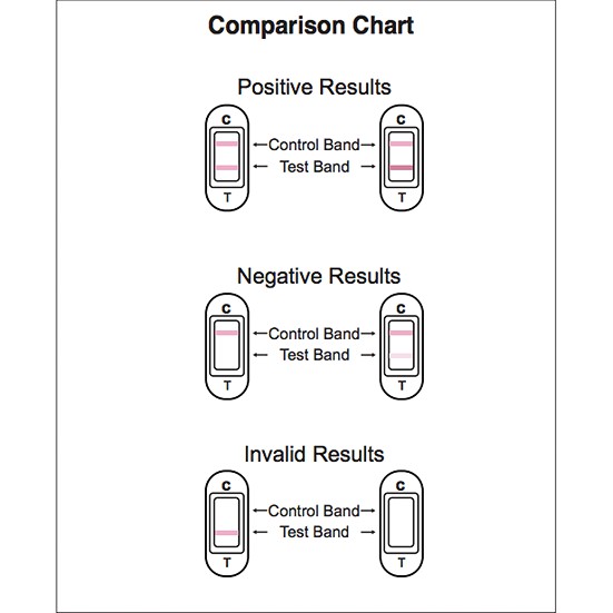 Biotest Ms Tellme Midstream Pregnancy Test Shopee Malaysia