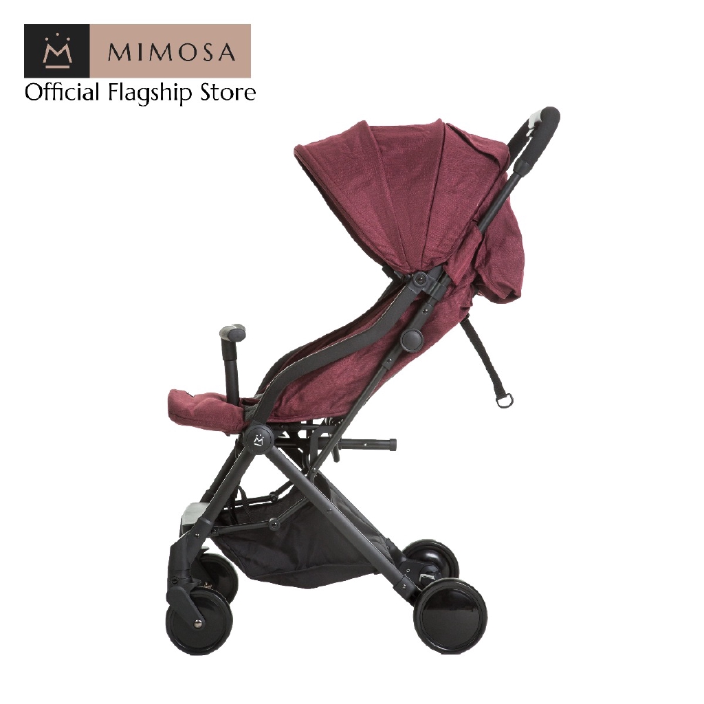mimosa globetrotter plus