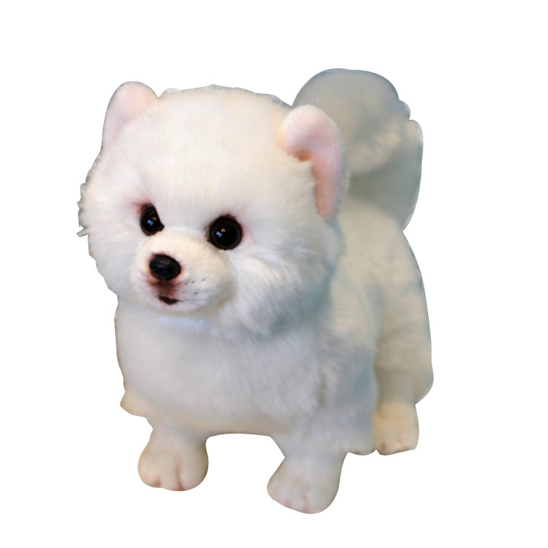 pomeranian doll