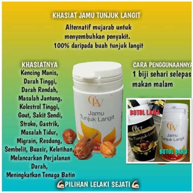 Pengobatan Dan Khasiat Herbal Khasiat Buah Tunjuk Langit Untuk Tenaga Batin