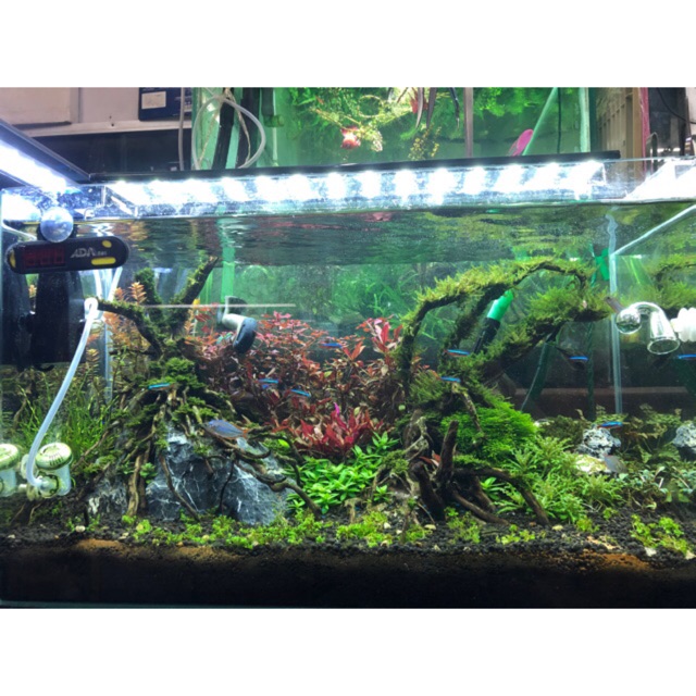 Lampu Aquascape  Low Light LAMPURABI