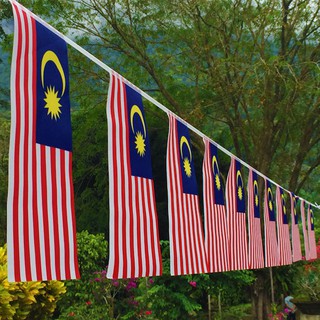 Malaysia Bunch Flag Multi Pieces Hanging Flag 14x28cm 450cm Bendera ...