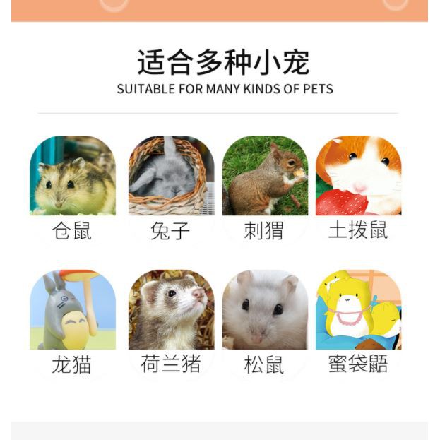 Buy Hamster Nutrition Paste Small Pet 仓鼠金丝熊化毛排毛膏营养膏80g兔子龙猫花枝鼠通心仓鼠用品 Seetracker Malaysia