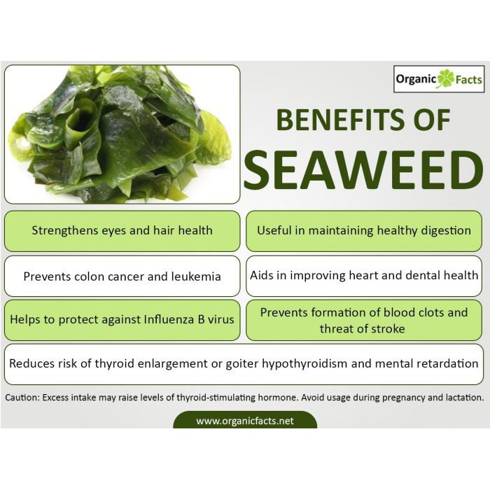 roasted seaweed cancer