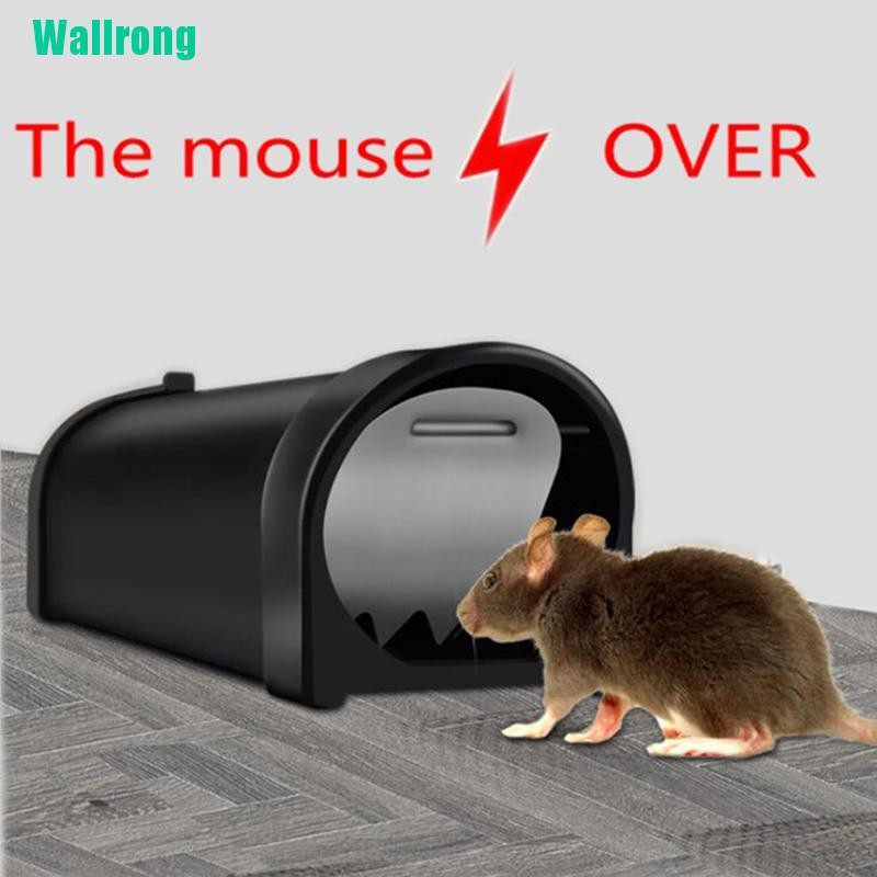 live mouse traps for sale