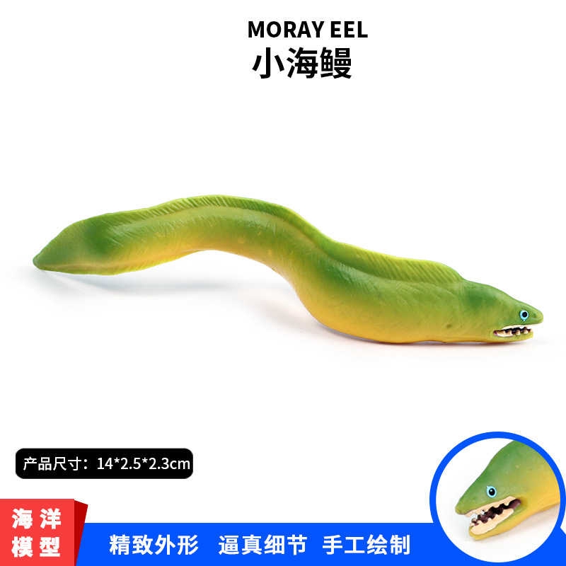 eel toy