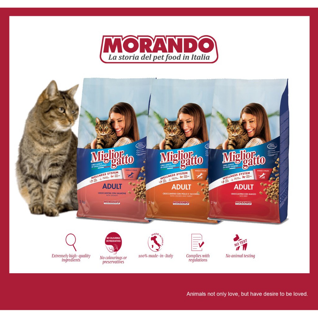 Morando Miglior Gatto Premium Kibbles 2KG (FREE GIFT‼️‼️‼️) Shopee