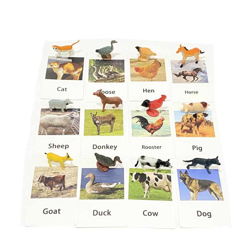 Montessori Animal Matching Cards Miniature Poultry Animals Figurines with Flash Card Language Educational Toys for Toddlers Early Learning 12PCS 