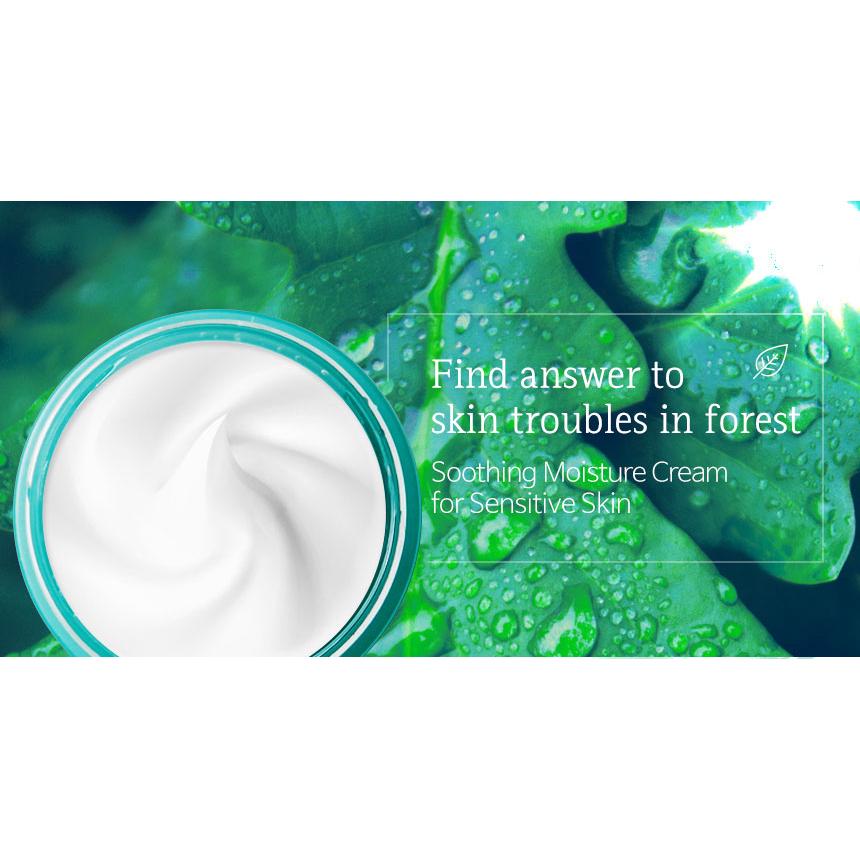 Always Be Pure Forest Therapy Ultra Calming Cream (18ml / 50ml / 80ml