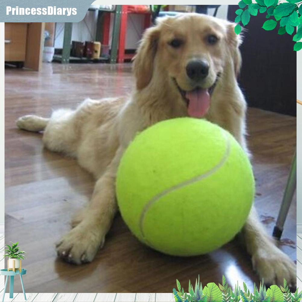 large dog ball