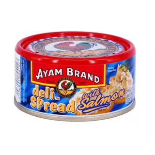 Ayam Brand Tuna 17 Jenis 160g Exp 2023 Faizul Store Shopee Malaysia