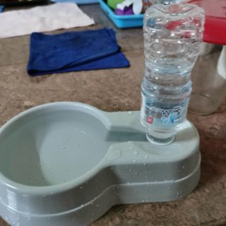 Cat water dispenser bekas air minuman tray kucing Cat water dispenser bekas air minuman tray kucing