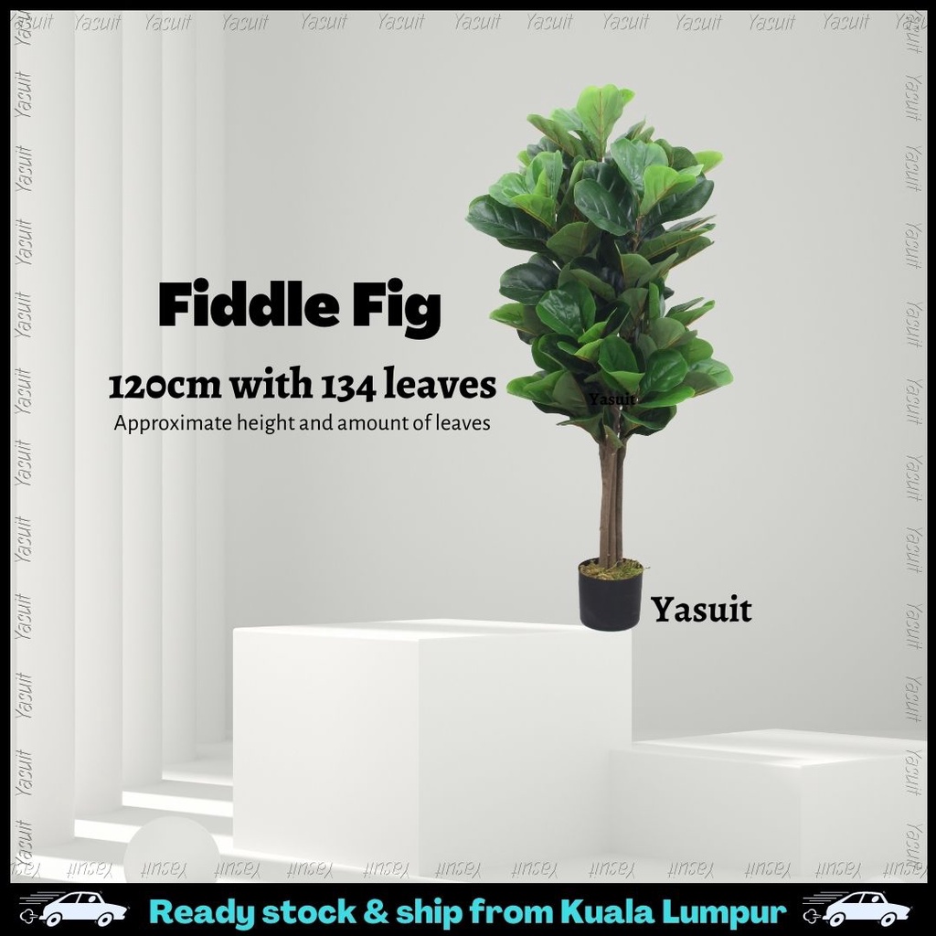 Pokok Viral Artificial Plant Skybird Fiddle Fig Olive Sky Bird Tree