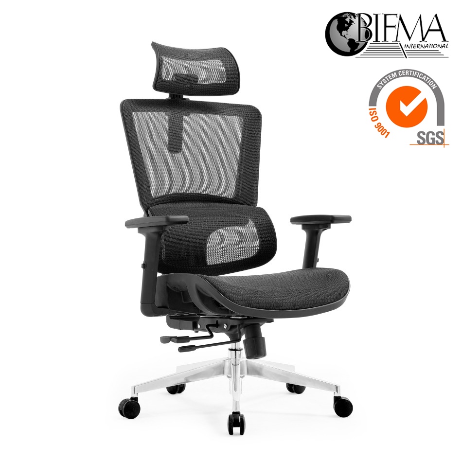 Noel ErgoH Lumbar Support High Back Office ChairBlack Shopee Malaysia