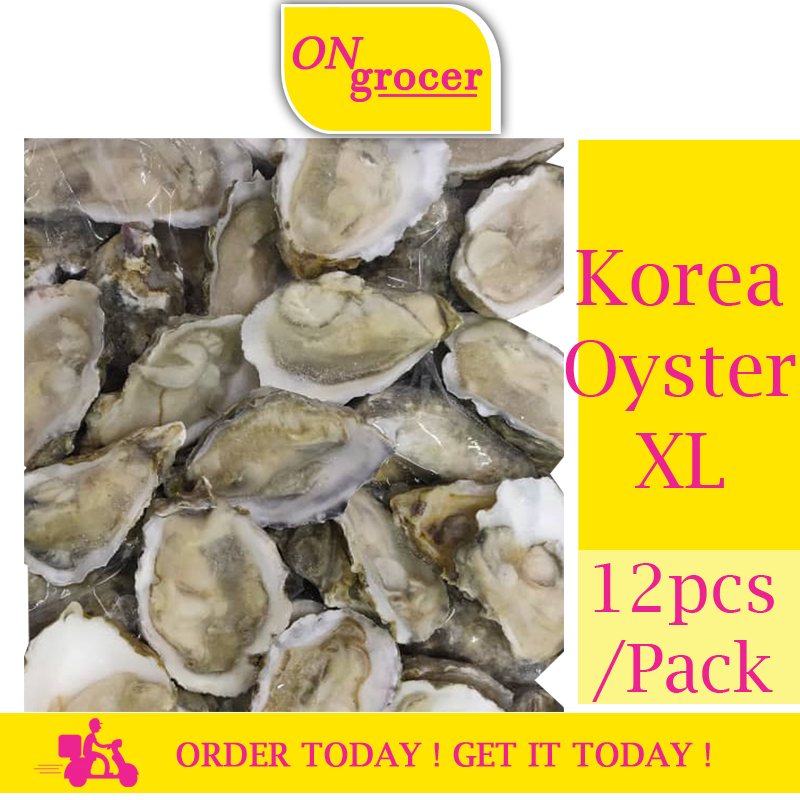 A0642 - Korea Oyster XL - 12pcs/Pack | Shopee Malaysia