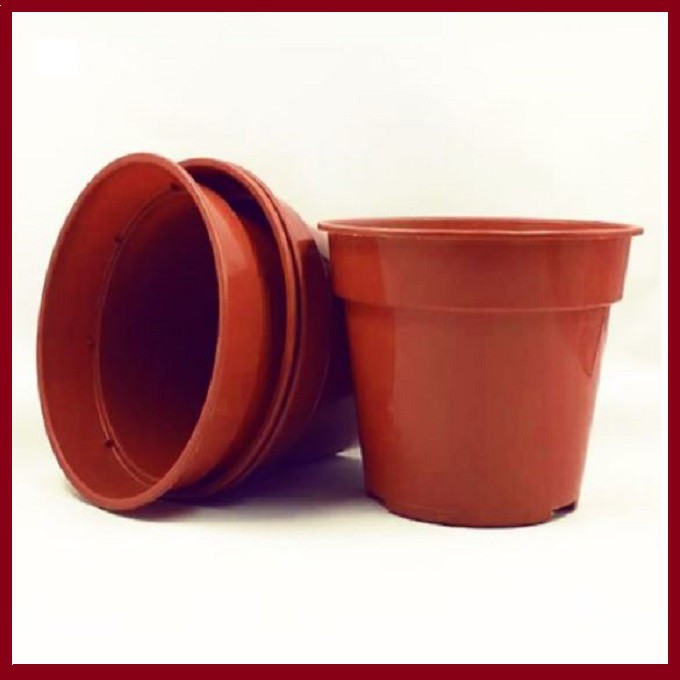 DIAMETER 10 CM FLOWER POT SUCCULENT CACTUS PLANT Plastic Pot Plastic