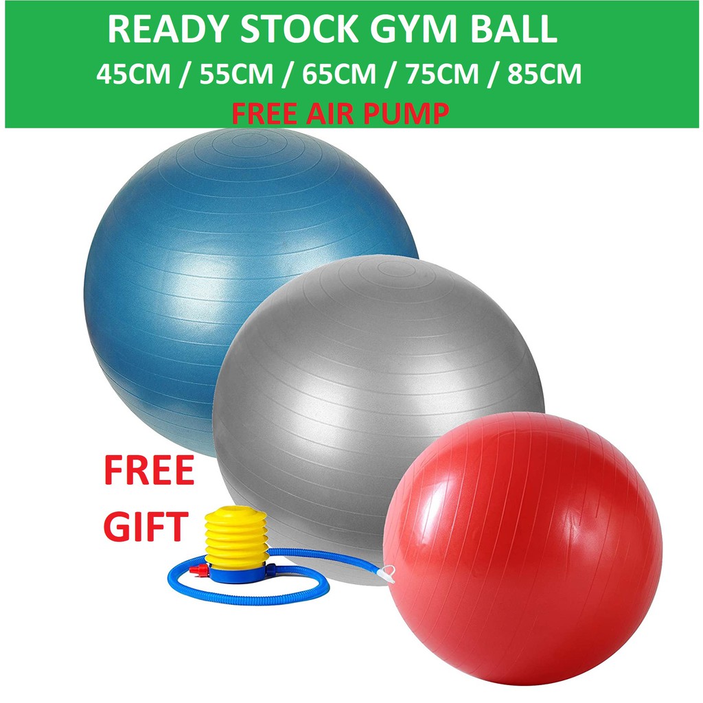 how much does a stability ball cost