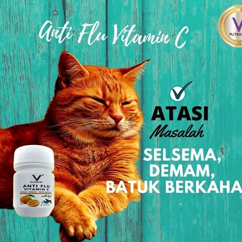 Buy Ubat Selsema , Demam u0026 Batuk Kucing PUTRAVET Anti-Flu Vitamin 