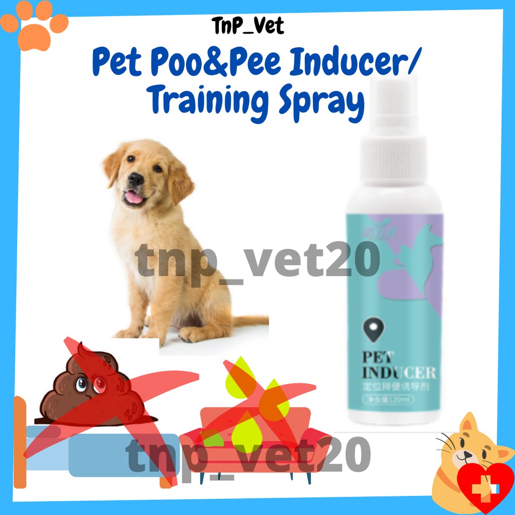 Are You A Spray Bottle Dog Trainer
