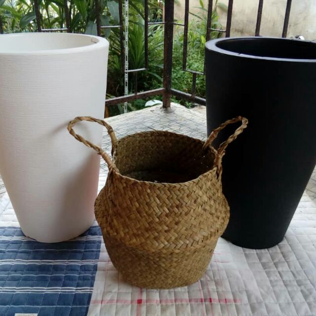 Pasu untuk pokok hiasan | Shopee Malaysia