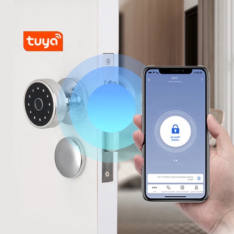Smart Lock Smart Door Lock Fingerprint Door Lock Double Lock Door Reference Lock Door Digital
