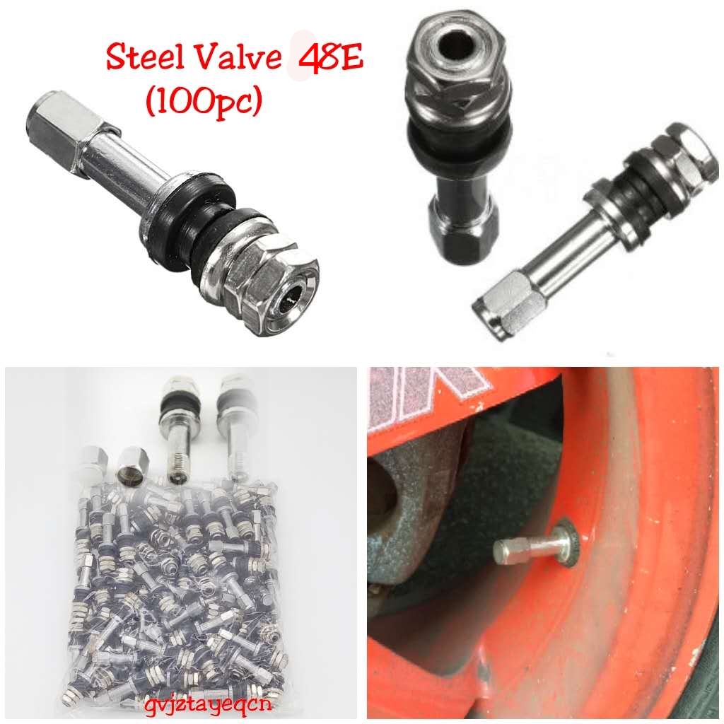 Car Auto Stainless Steel ClampIn Tubeless Tyre Tire Wheel Valve 1pek