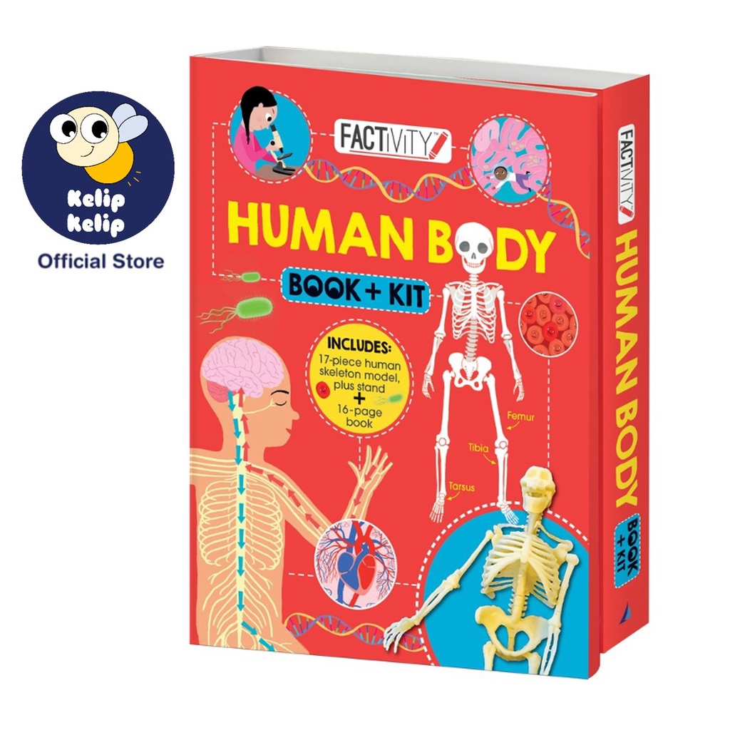 Human Body Book & Kit Boxset with Skeleton Model & Book For Kids to ...