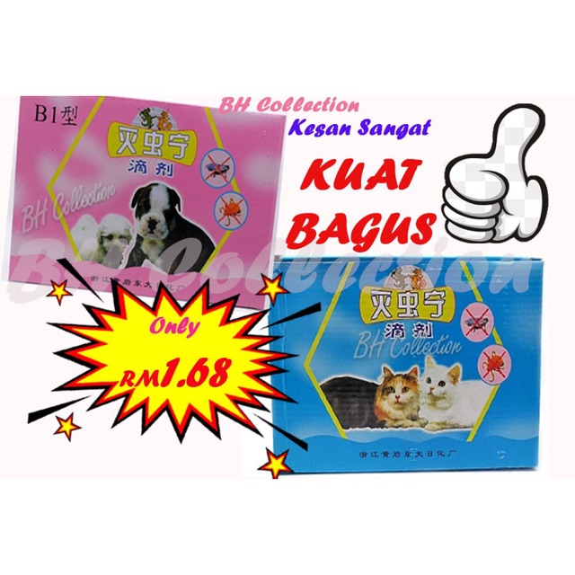 Ubat Kutu Kucing Malaysia - Naskah 4