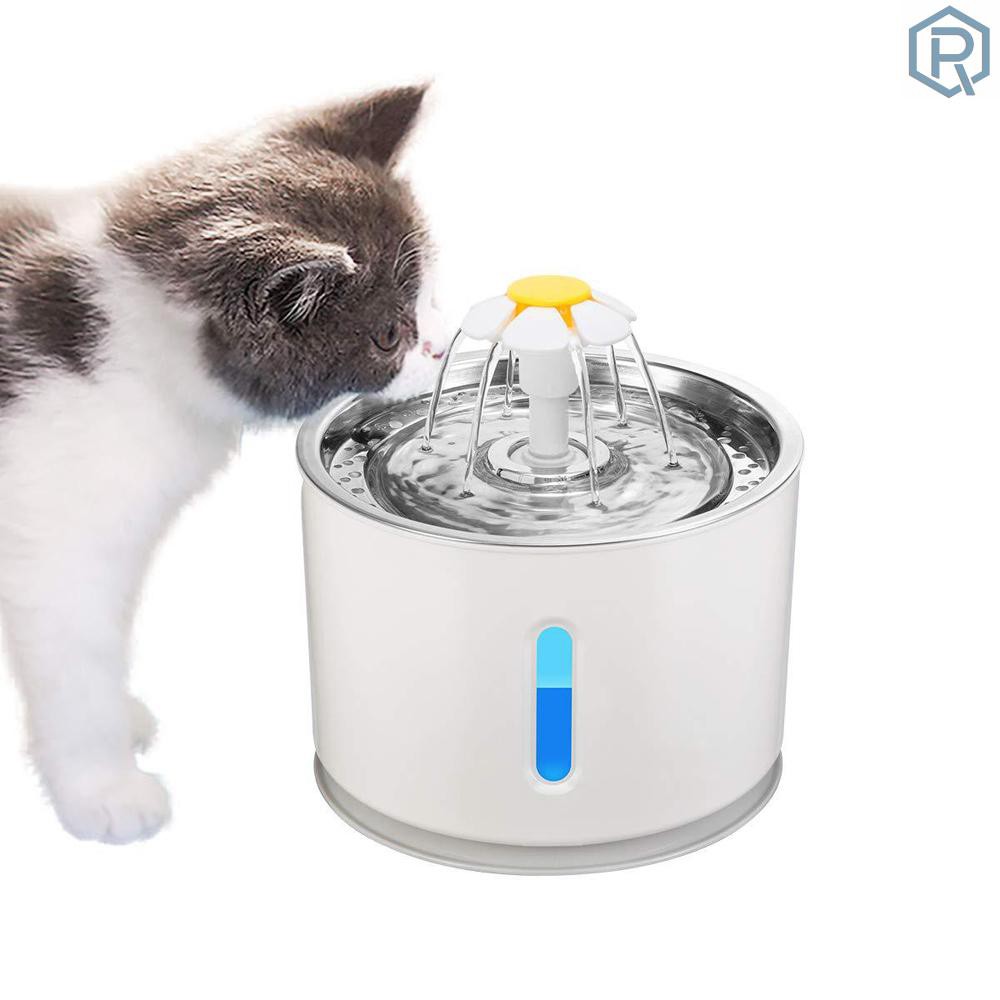 cat water bowl