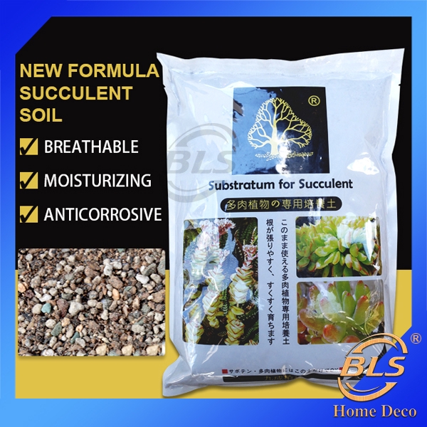 New Formula 2 Liter Substractum Succulent Cactus Soil Stone Tanah 九成新配方 多肉植物培养土 Shopee Malaysia