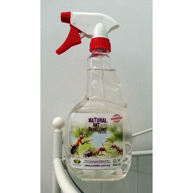 Natural Ant Repellent Ant Killer Liquid Ant Bait 500 ML Shopee