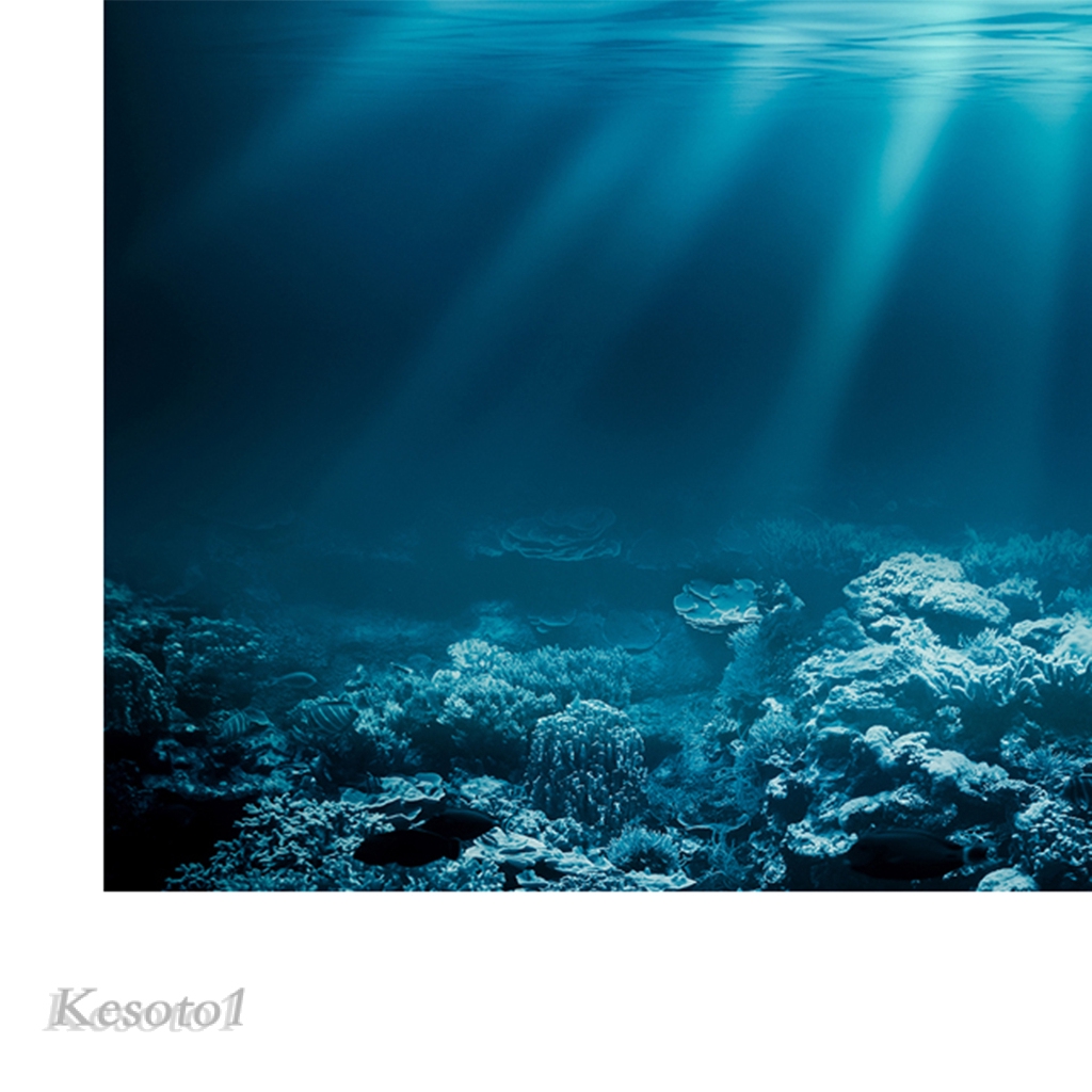 76x56cm Aquarium Background Poster Fish Tank Wallpaper Underwater Vivarium Decor