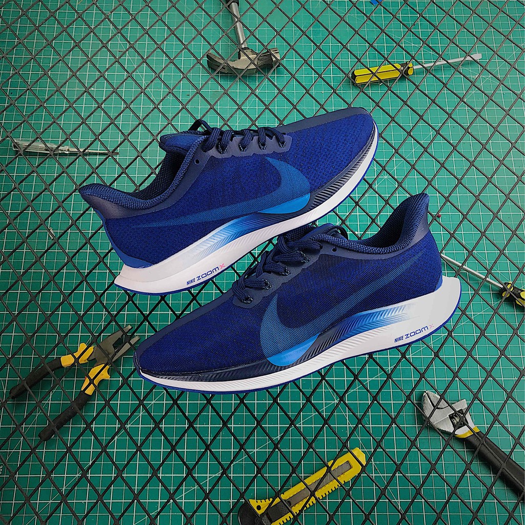 nike air zoom pegasus 2019