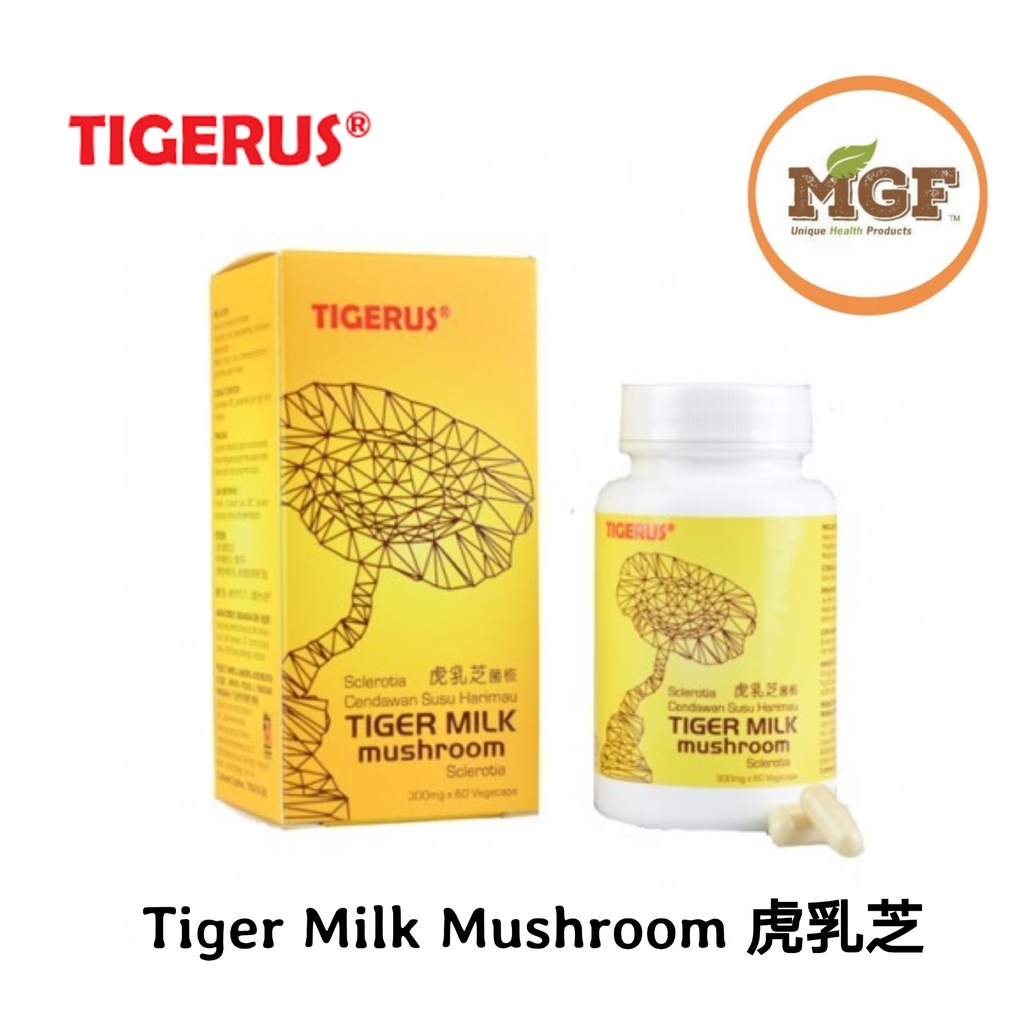 Tigerus tiger milk mushroom
