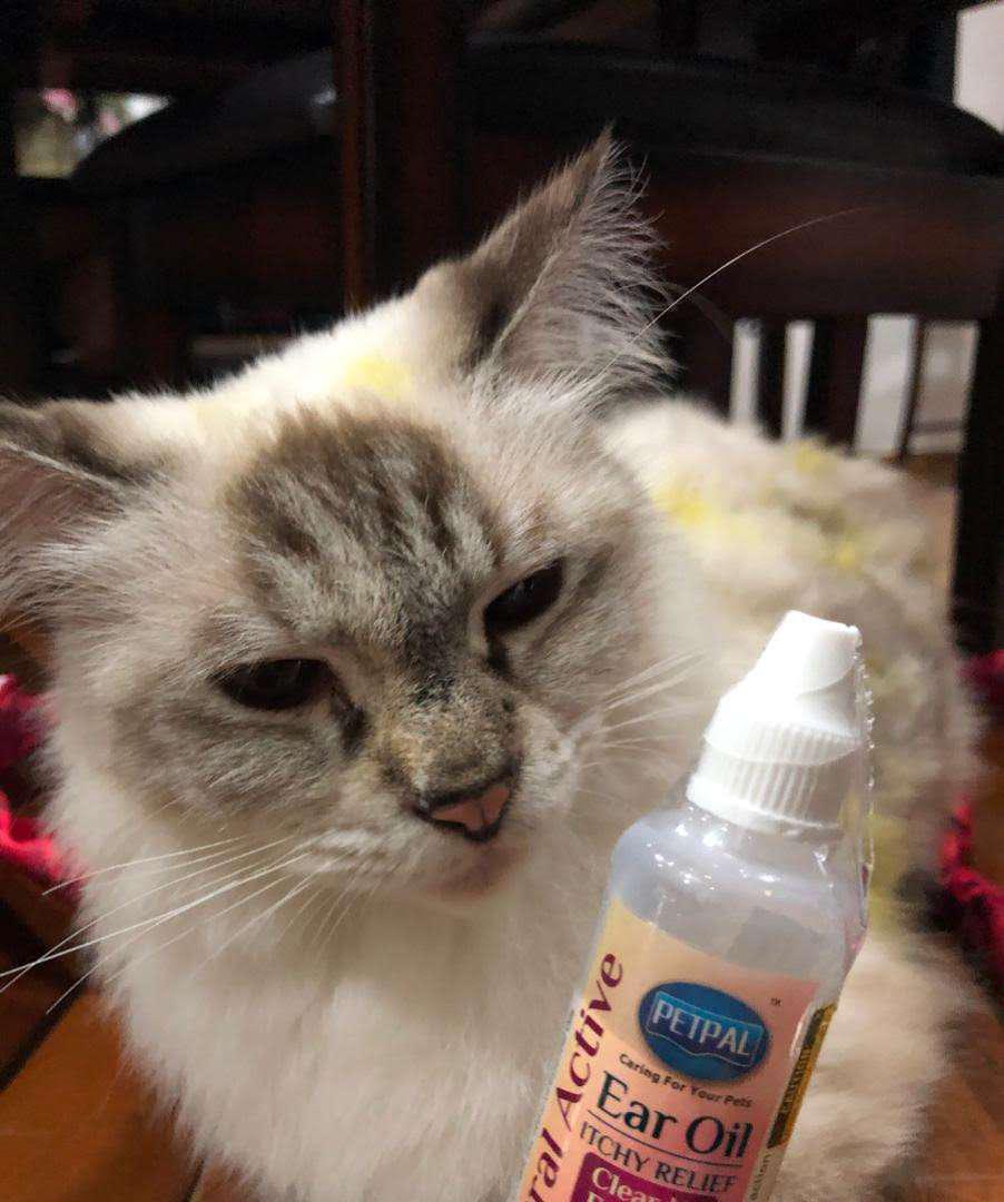 PETPAL Natural Active Ear Oil (Ear Mite) For Cats - 35g 