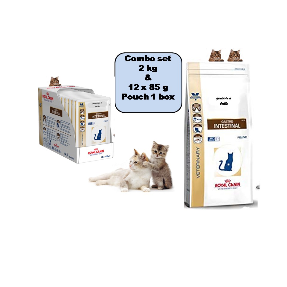 royal canin gastrointestinal cat food