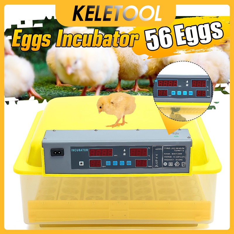 Poultry Hatching Machine 56 Eggs Incubator Digital Bird Quail Chicken Brooder Temperature